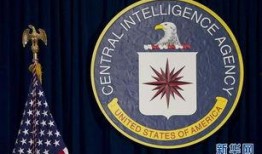 中央情报局爆料新闻,揭秘重大国际新闻背后的真相”